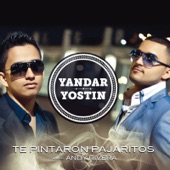 Te Pintaron Pajaritos (Radio Edit) [feat. Andy Rivera] artwork