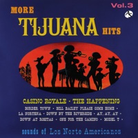 More Tijuana Hits Vol.3