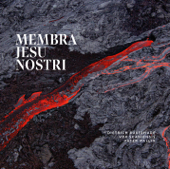 Membra Jesu Nostri (feat. Peter Wallin) - Vox Scaniensis