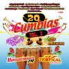 20 Cumbias, Vol. 2