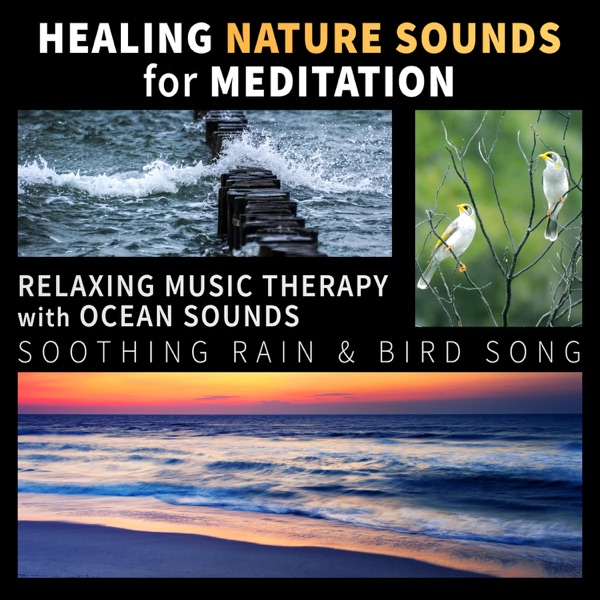 Healing Nature Sounds for Meditation: Relaxing Music Therapy with Ocean Sounds, Soothing Rain & Bird Song, Sounds of Nature for a Quiet Mind