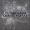 Cosmic Orchestra - I And I Will Survive lyrics