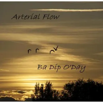 Dia Estranho (feat. Erler Pinho) by Arterial Flow song reviws