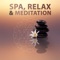 Health - Zen Music Sanctuary lyrics