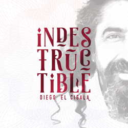 Indestructible - Diego El Cigala Cover Art