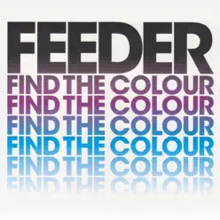 Find the Colour - Single - Feeder