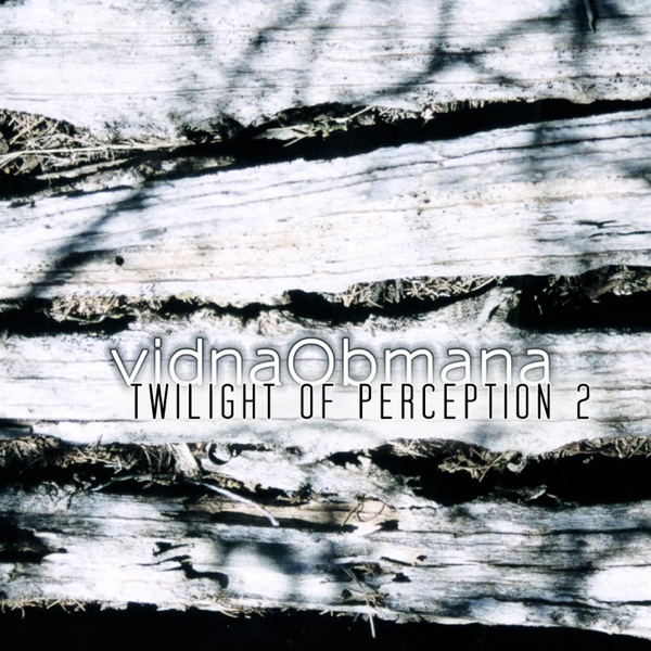 Twilight of Perception 2