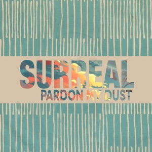 Pardon My Dust