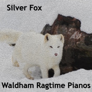 Silver Fox (Orchestral)