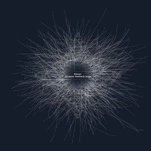 Synaptic Feedback Loops - EP