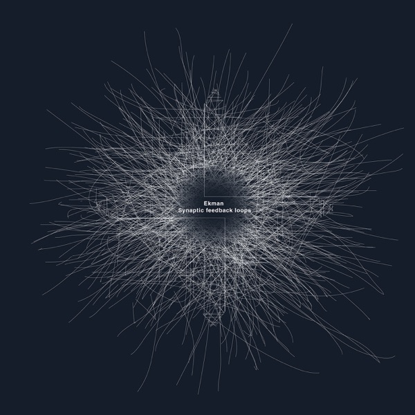 Synaptic Feedback Loops - EP