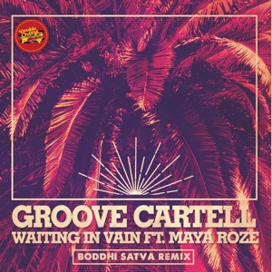 Waiting in Vain (Boddhi Satva Remix) [feat. Maya Roze] - Single