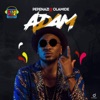 Adam (feat. Olamide) - Single