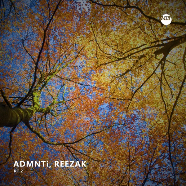 RT 2 - Single