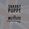 Kite - Snarky Puppy lyrics