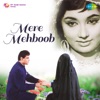 Mere Mehboob Tujhe Meri Muhabbat Ki Kasam (Male)
