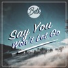 Say You Won't Let Go - Single