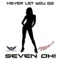 Never Let You Go (DJ Gollum Remix) - Seven Oh! lyrics