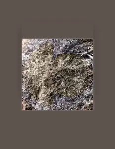 Listen to Aleks Shu, watch music videos, read bio, see tour dates & more!