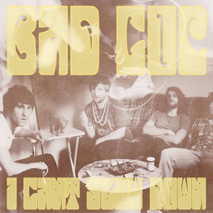 I Can't Slow Down - Single