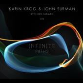 Infinite Paths (Live) artwork
