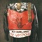 The Hunt - New Model Army lyrics