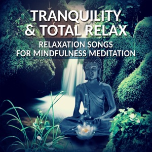 Tranquility & Total Relax: Relaxation Songs for Mindfulness Meditation & Brain Stimulation, Tranquility Spa Universe Therapy for Yoga, Massage, Zen New Age