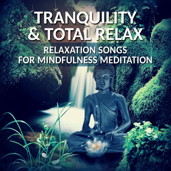 Tranquility & Total Relax: Relaxation Songs for Mindfulness Meditation & Brain Stimulation, Tranquility Spa Universe Therapy for Yoga, Massage, Zen New Age