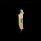 Les loups (Chloé Remix) - Single