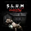 S.L.U.M. Intro