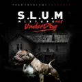 S.L.U.M. Intro