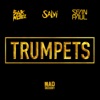 Sak Noel & Salvi Feat. Sean Paul - Trumpets