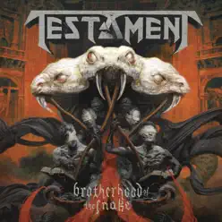 Brotherhood of the Snake - Testament