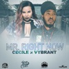 Mr. Right Now (feat. Vybrant) - Single