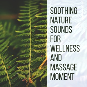 Soothing Nature Sounds for Wellness and Massage Moment: Life in Balance & Healing Your Heart, Lift Your Mood with New Age Music
