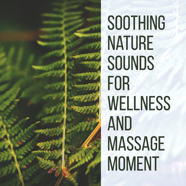 Soothing Nature Sounds for Wellness and Massage Moment: Life in Balance & Healing Your Heart, Lift Your Mood with New Age Music