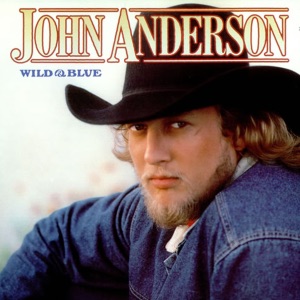 John Anderson - Swingin' - Line Dance Music
