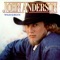 Long Black Veil - John Anderson lyrics