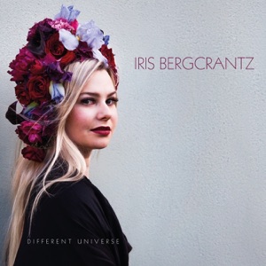 Different Universe (feat. Anders Bergcrantz & Anna-Lena Laurin)