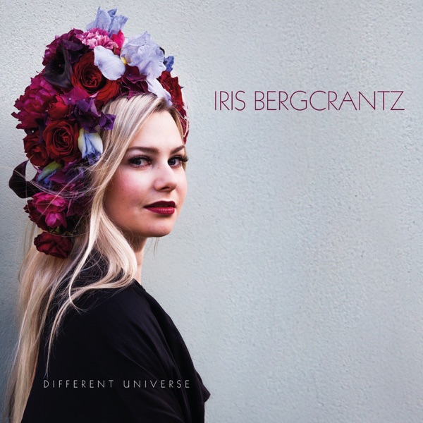 Different Universe (feat. Anders Bergcrantz & Anna-Lena Laurin)