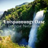 Entspannungs Oase: Exotische Naturmusik für tiefe Entspannung, tropisches Spa und Wellness, Vögel, Meer, wilde Tiere