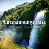 Tiefenentspannung Oase - Tiefe Entspannung