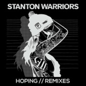 Hoping (The Vanguard Project Remix) artwork