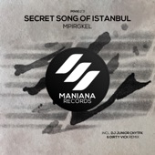Secret Song of Istanbul (DJ Junior CNYTFK & Dirty Vick Remix) artwork