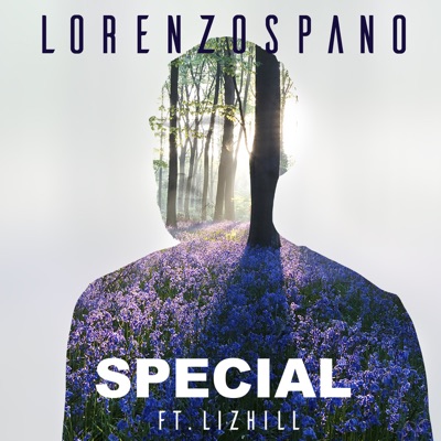 Special (Strobe Remixes) [feat. Liz Hill] - Single