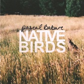 Pascal Babare - Native Birds