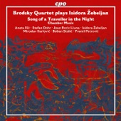 Žebeljan: Song of a Traveller in the Night artwork