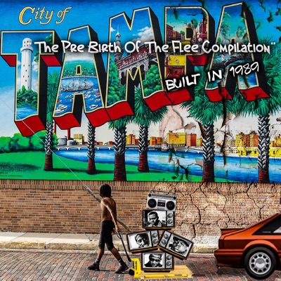 The Pre Birth of Flee Compilation - Built In 1989