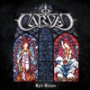 Carved - The Hidden Ones