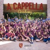 A Cappella Academy 2015